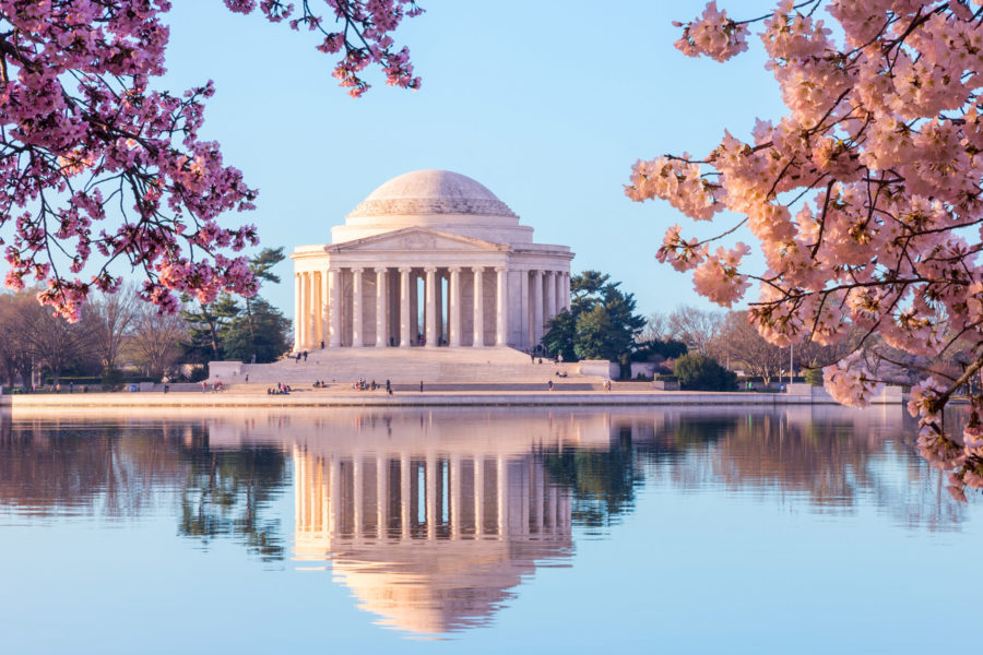 Where to See Cherry Blossoms in the U.S. This Spring