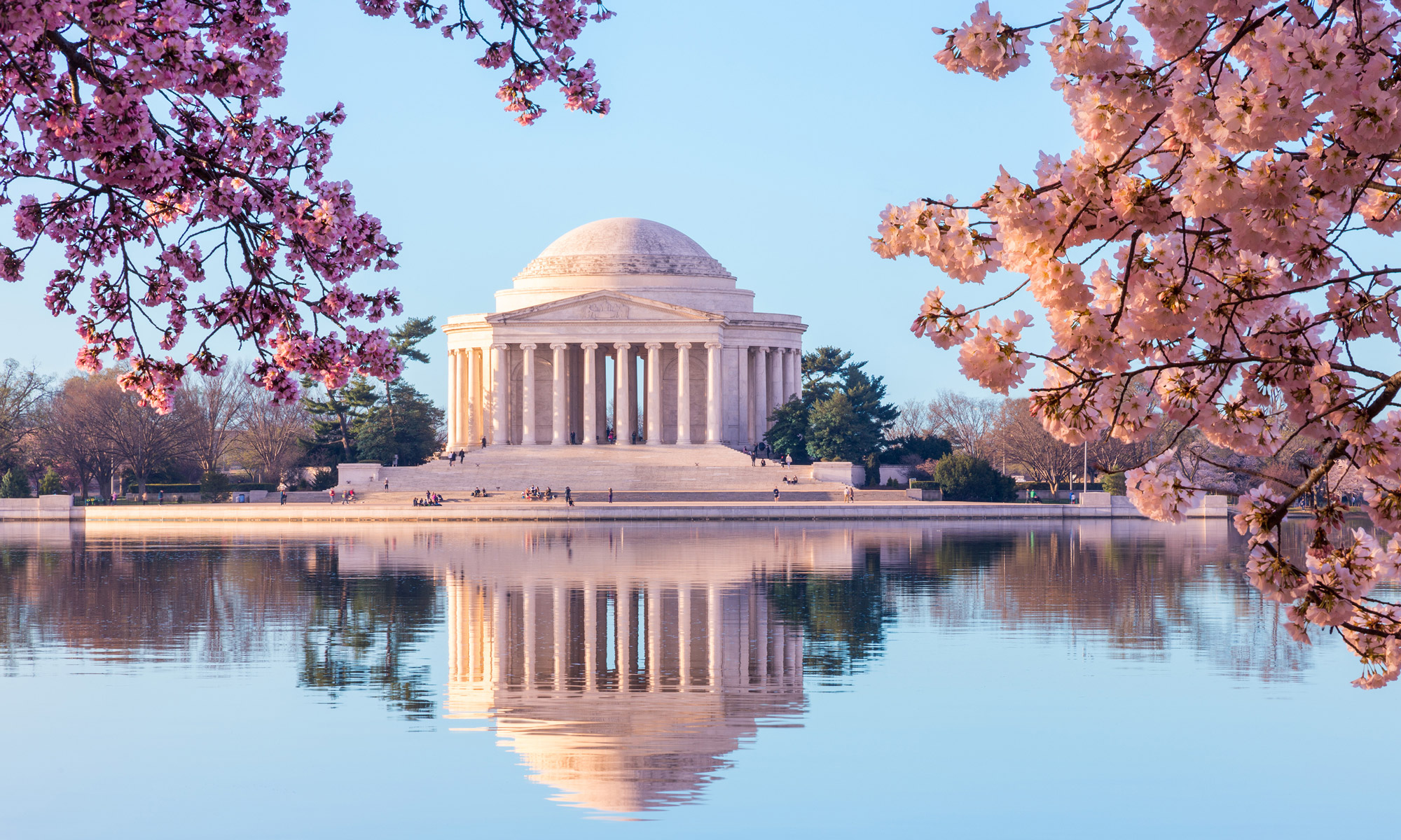 Where to See Cherry Blossoms in the U.S. This Spring