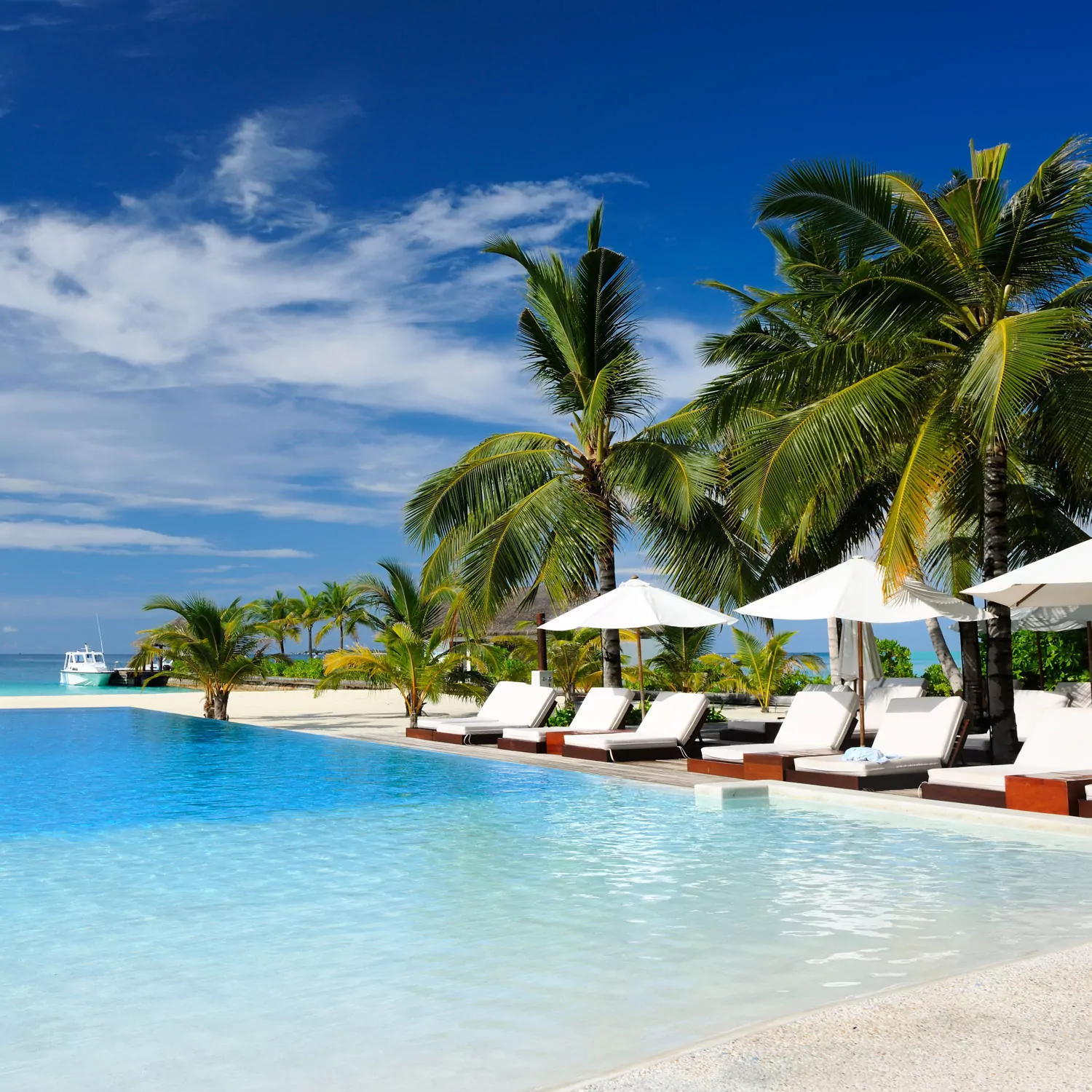 A row of lounge chairs and palm trees surrounded by turquoise waters