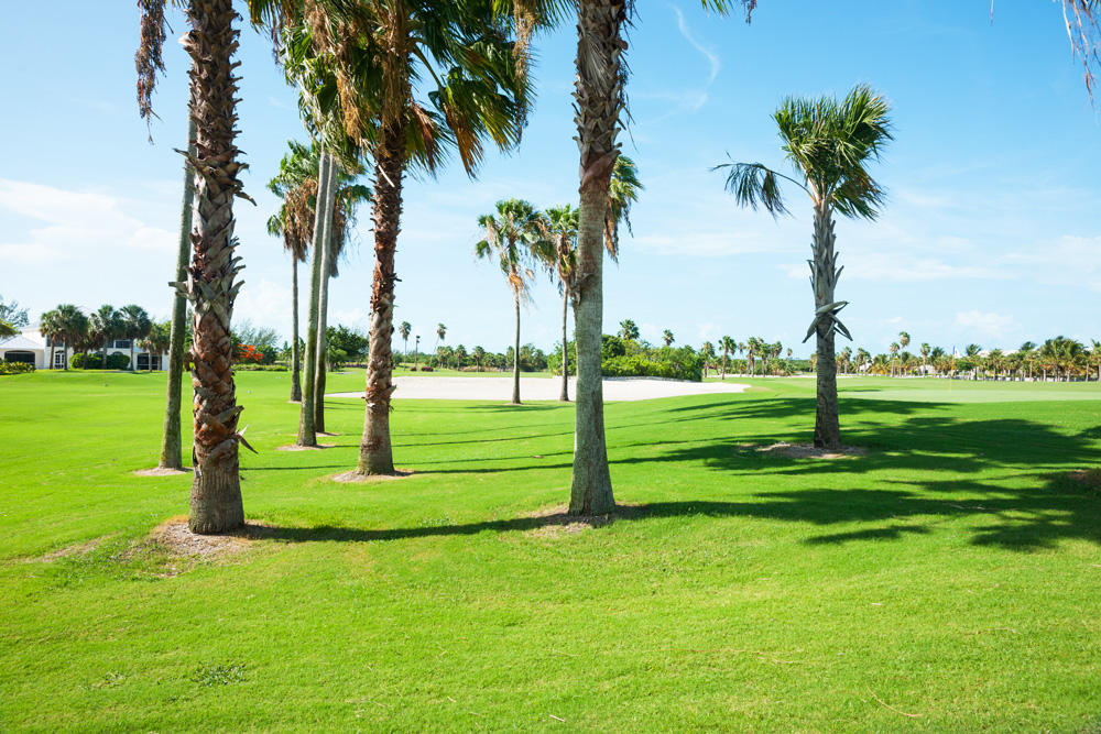 Royal Turks and Caicos Golf Club